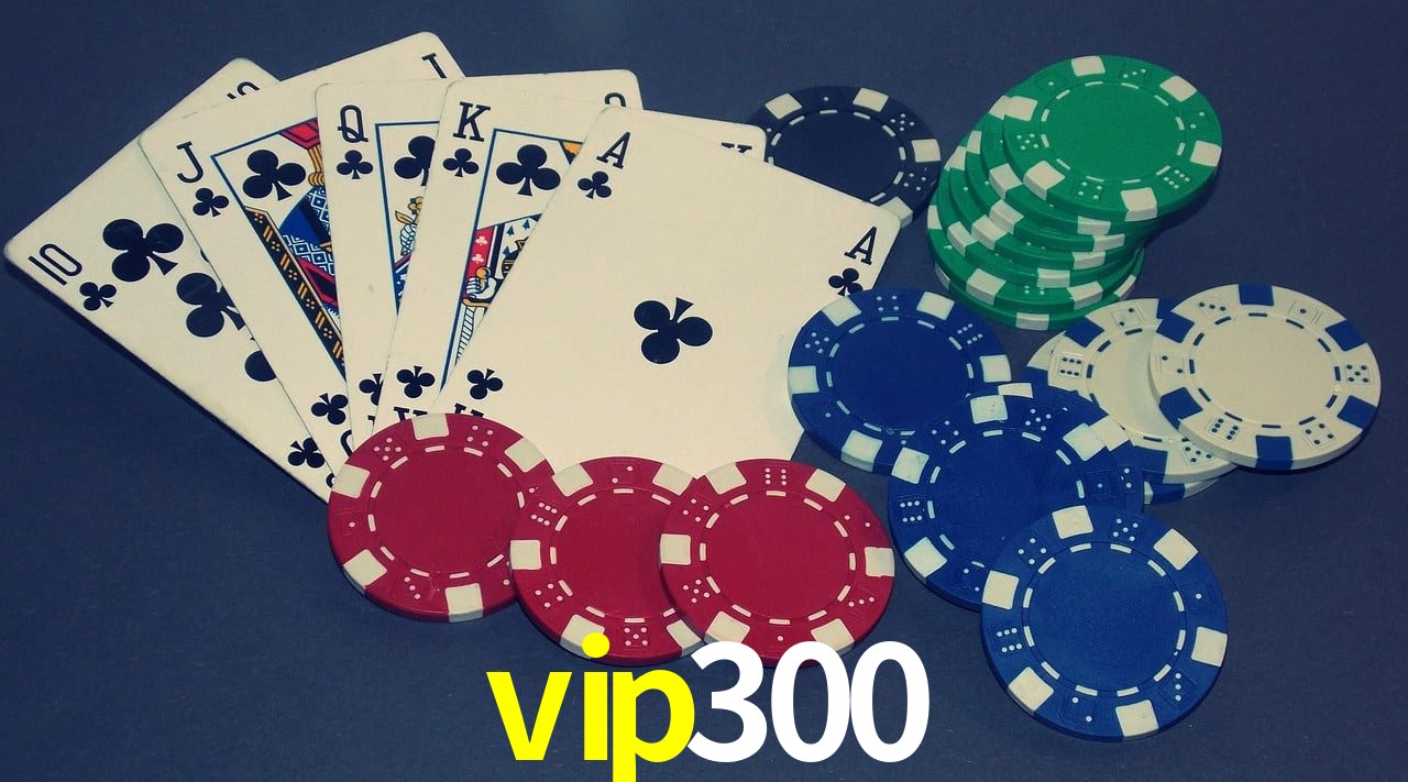 Experiência VIP vip300